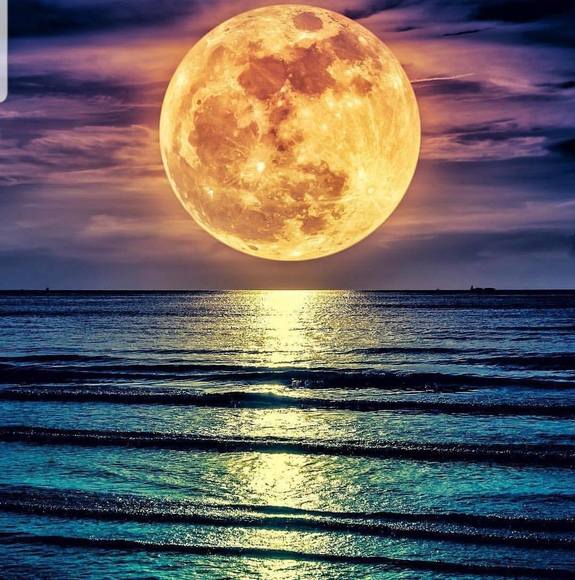 Meet your Posher, Angie - Picture 1 of 1